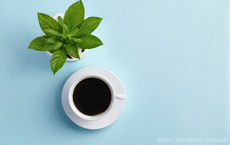 캄보디아의 날씨와 계절 이미지 1 캄보디아의 날씨와 계절 이미지 1